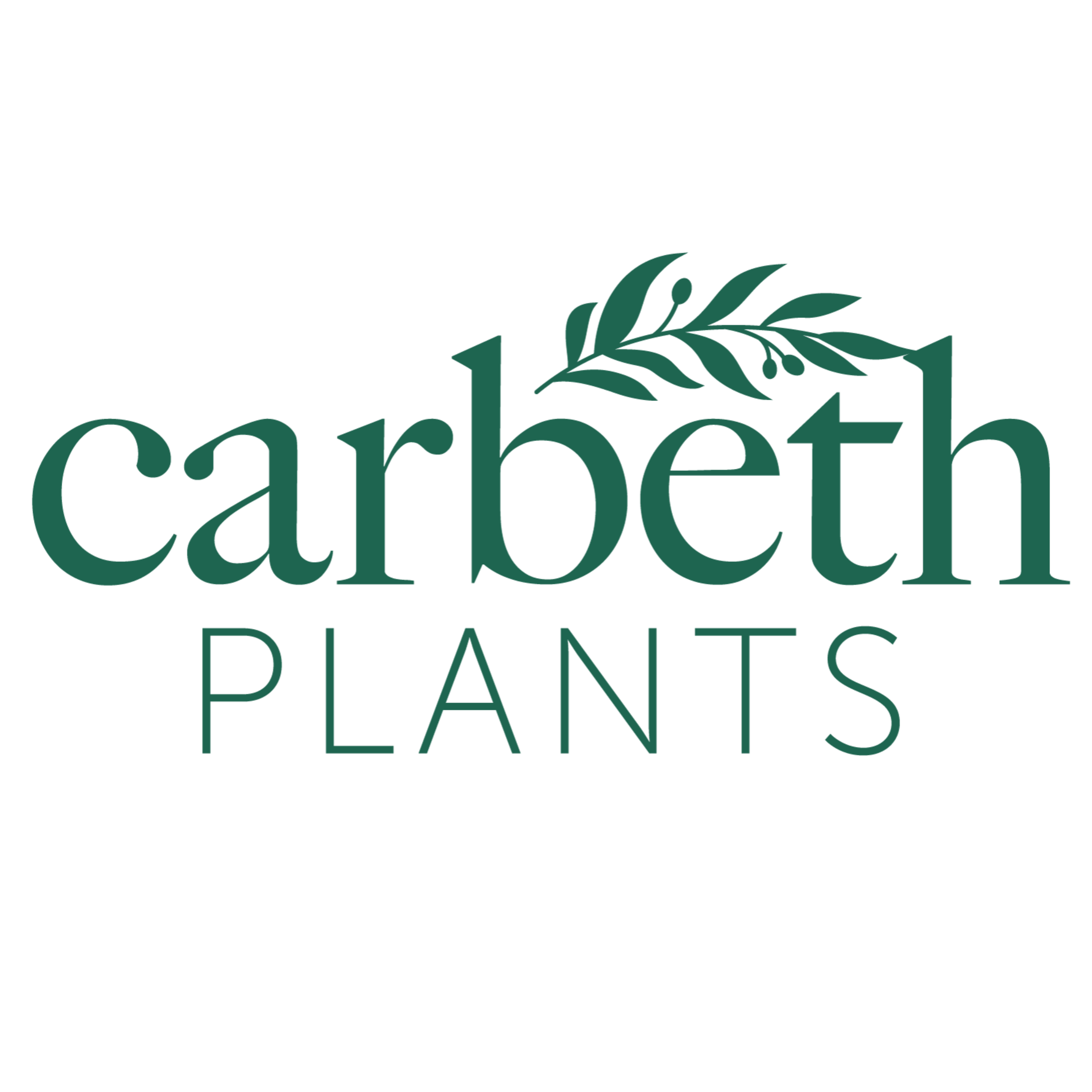 Carbeth Plants